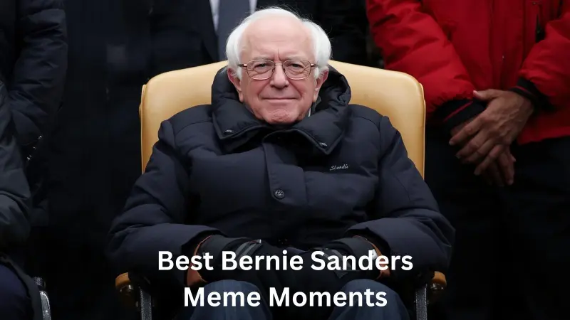 Best Bernie Sanders Meme Moments