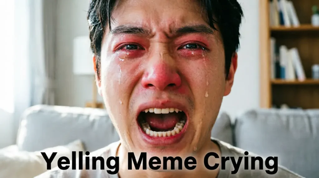 Yelling Meme Crying