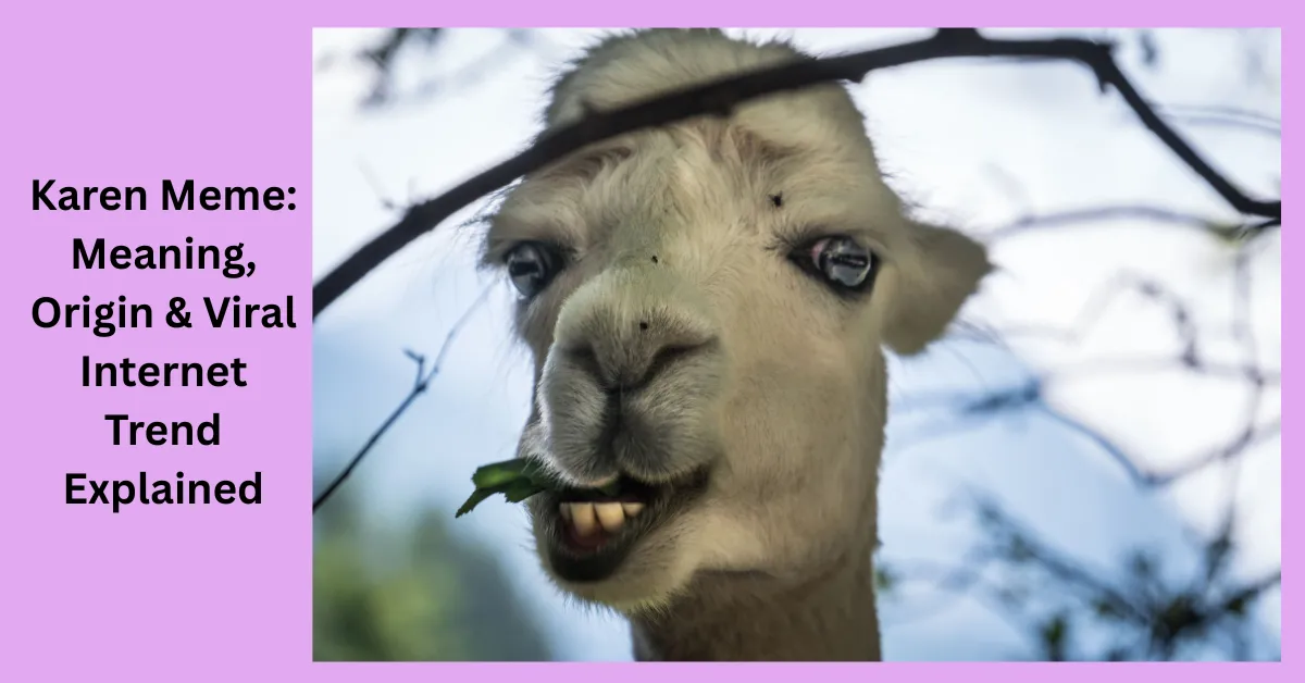 Karen Meme Meaning, Origin & Viral Internet Trend Explained