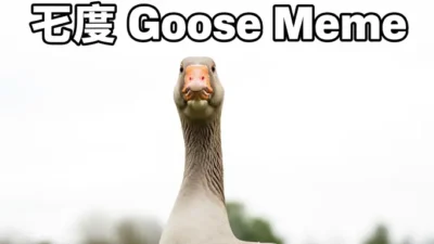 Goose Meme