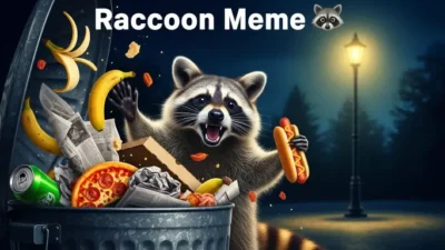 Raccoon Meme