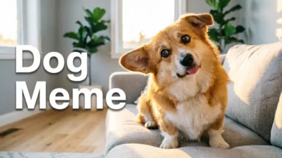 Dog Meme
