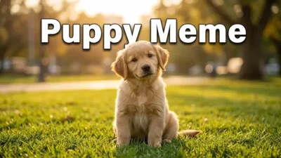 Puppy Meme